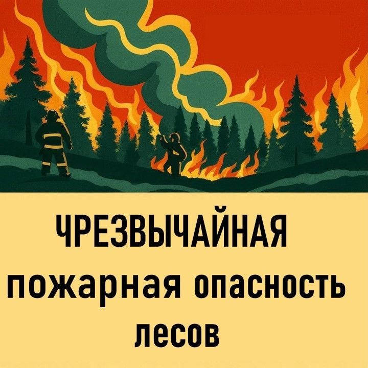 Внимание! Чрезвычайная пожарная опасность в лесах Татарстана
