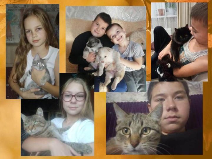 Акция «Мой милый друг» в честь Всемирного дня защиты животных
