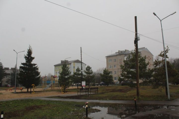 В последний осенний день в Лаишевском районе будет почти весенняя погода