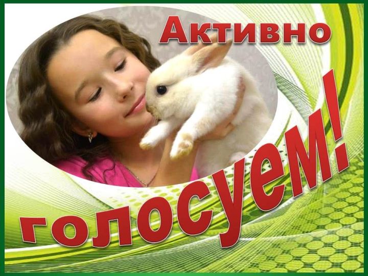 Меньше суток осталось до конца финального голосования в конкурсе «Забавные питомцы» — 2025
