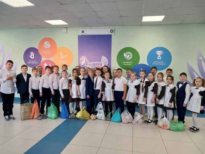 Лаишевские гимназисты собрали 30 кг овощей для волонтеров СВО