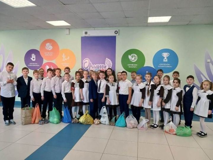 Лаеш гимназистлары МХО волонтерлары өчен 30 кг яшелчә җыйдылар