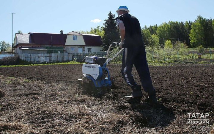 Владельцы заброшенных земель в Татарстане обязаны привести свои участки в порядок в течение трех лет
