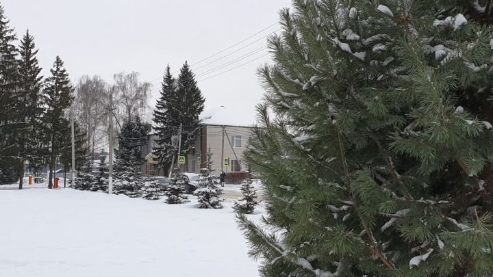 Плюс 3 и снежная каша: какая погода ждет лаишевцев сегодня