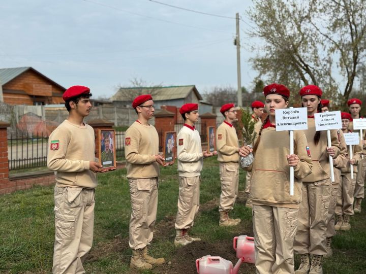 В Лаишевской школе № 2 появилась «Аллея Памяти»