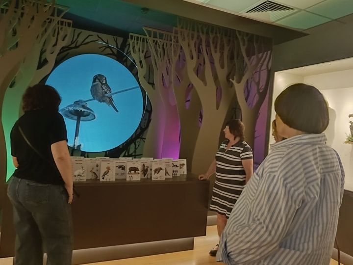 Профсоюзные гости из «Татнефть Профсоюз» посетили Лаишевский музей