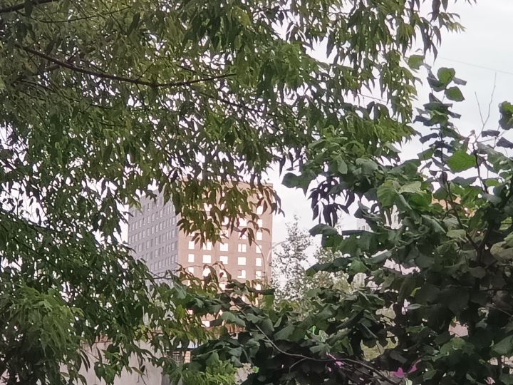 Погода на завтра в Лаишевском районе
