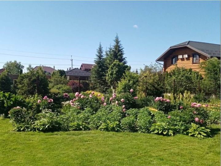 Июнь в саду и огороде: основные работы