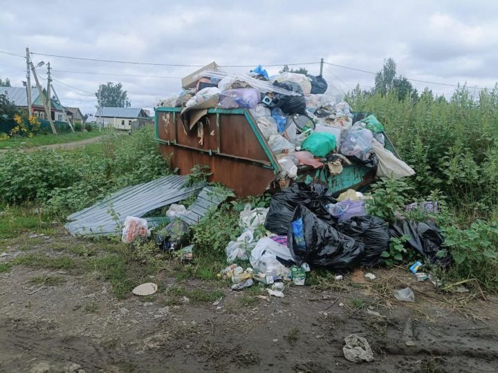 Жители села Нармонка просят перенести мусорный бункер с оживленной улицы