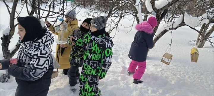 В Лаишевском районе отметили Всероссийский день зимующих птиц