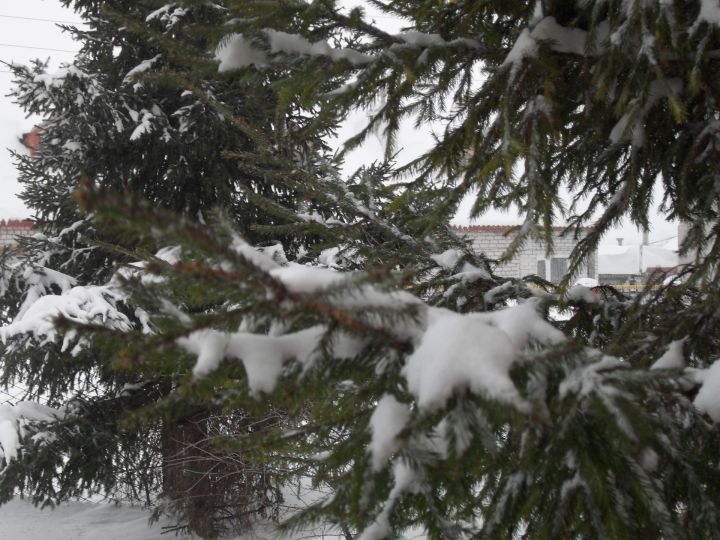 Сильная метель в Лаишевском районе продолжится и в понедельник