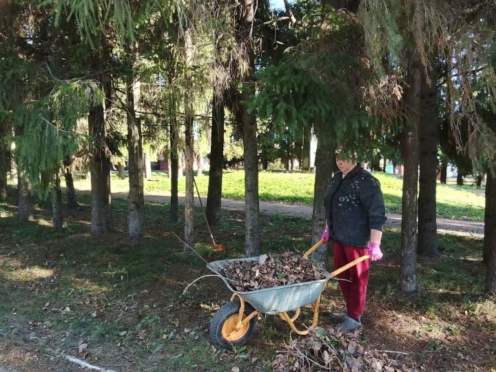 Жители Среднего Девятова вышли на осенний субботник