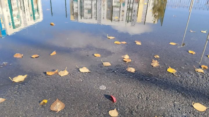 Поговорим о погоде на завтра