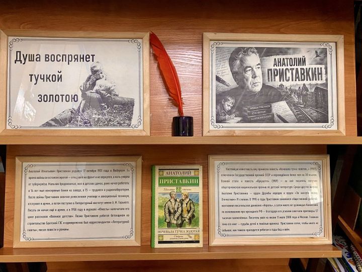 Новая книжная выставка в Лаишеве посвящена 95-летию Анатолия Приставкина