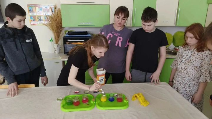 В Лаишевском районе отмечают День российской науки