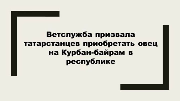 Татарстанлыларны Корбан гаете өчен сарыкларны республика эченнән генә алырга чакыралар