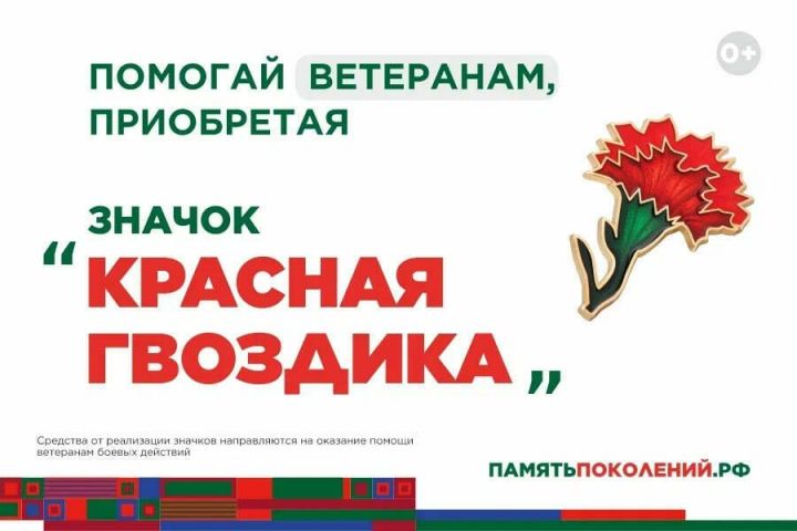 Красная гвоздика: всероссийская акция в поддержку ветеранов