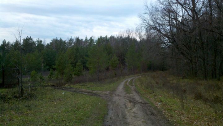 В пятницу в Лаишевском районе усилится ветер