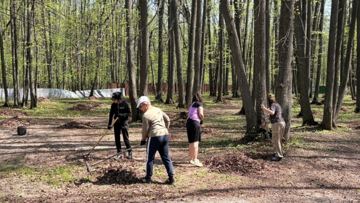 Сотрудники молодёжного центра «Белогорье» внесли свой вклад в благоустройство лагеря «Липки»
