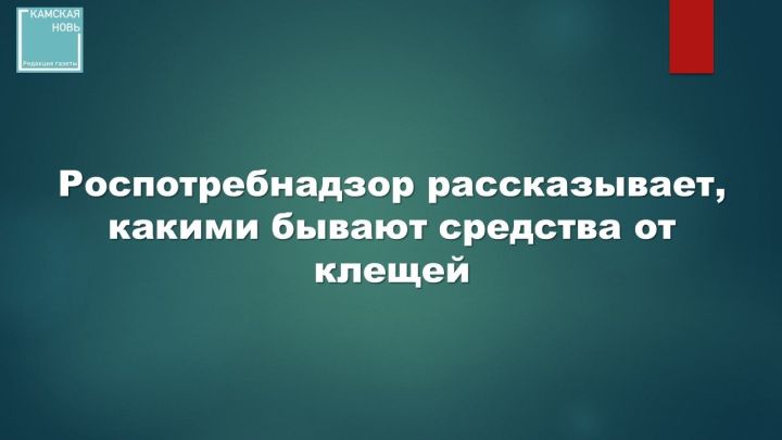 Роспотребнадзор рассказывает, какими бывают средства от клещей