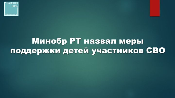 Минобр РТ назвал меры поддержки детей участников СВО