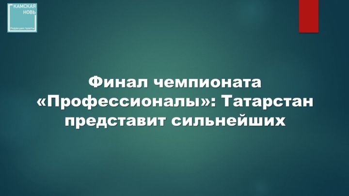 Участники из Татарстана выступят в финале чемпионата «Профессионалы»