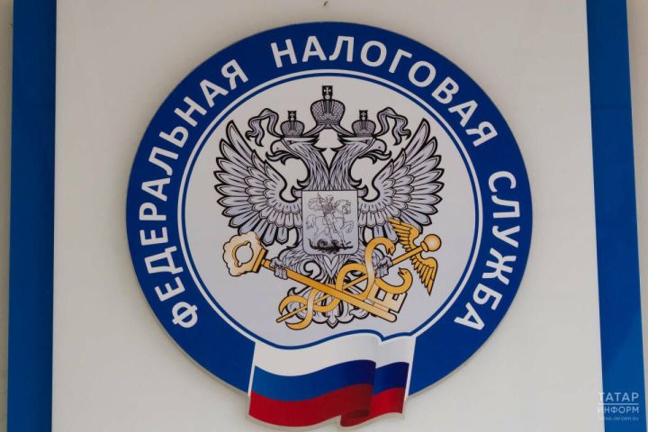 Как проверить актуальность данных о собственности: инструкция от ФНС по РТ