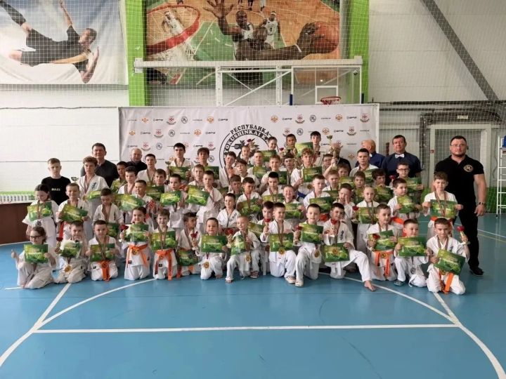 Молодые каратисты соревновались в Лаишевском районе