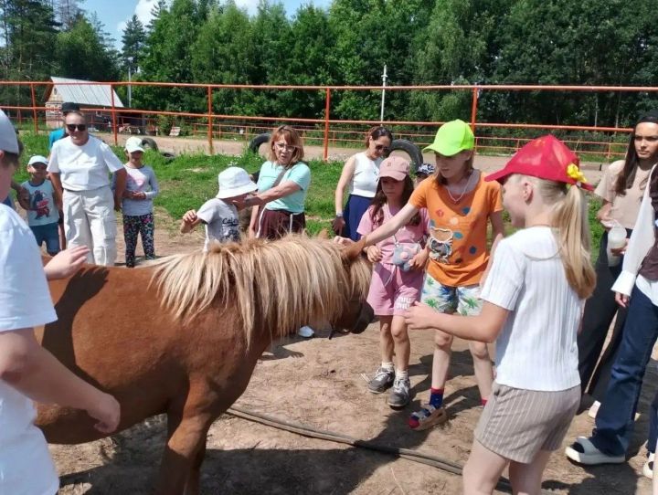 Волшебный день в конном клубе «Рассвет»