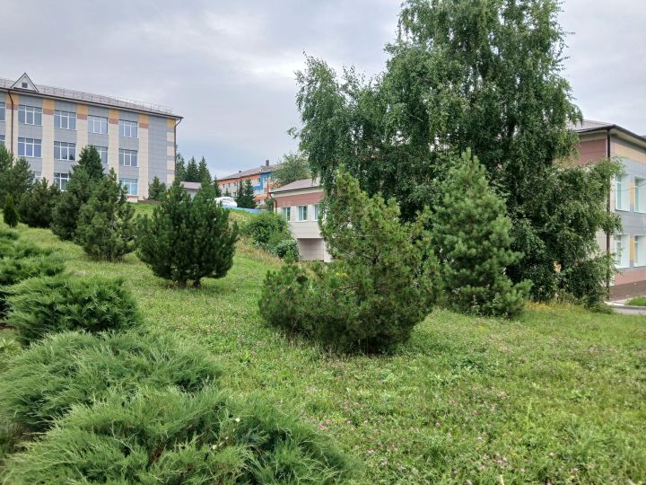 Татарстан – лидер среди регионов России по созданию образовательных кластеров