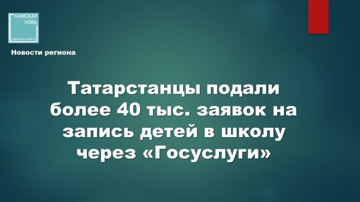 В Татарстане за три месяца подано более 40,8 тыс. заявлений в школы через Госуслуги