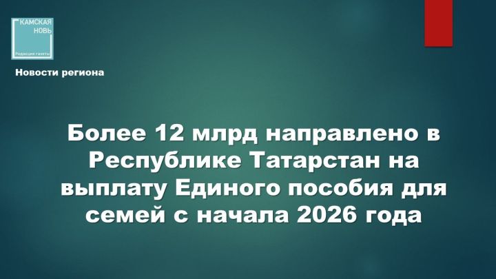 12 млрд рублей на Единое пособие поддержали тысячи семей в Татарстане