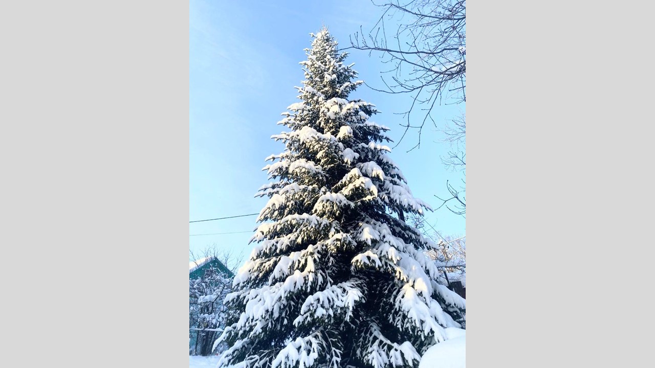 У природы нет плохой погоды, поэтому фотолюбители всегда найдут, что  поймать в кадр