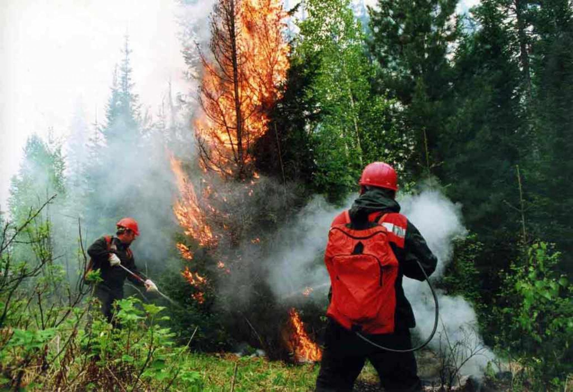 Вред пожарников. Пожар в лесу. Сохрна лесаа от пожара. Тушение пожара в лесу. Охрана лесов от пожаров.