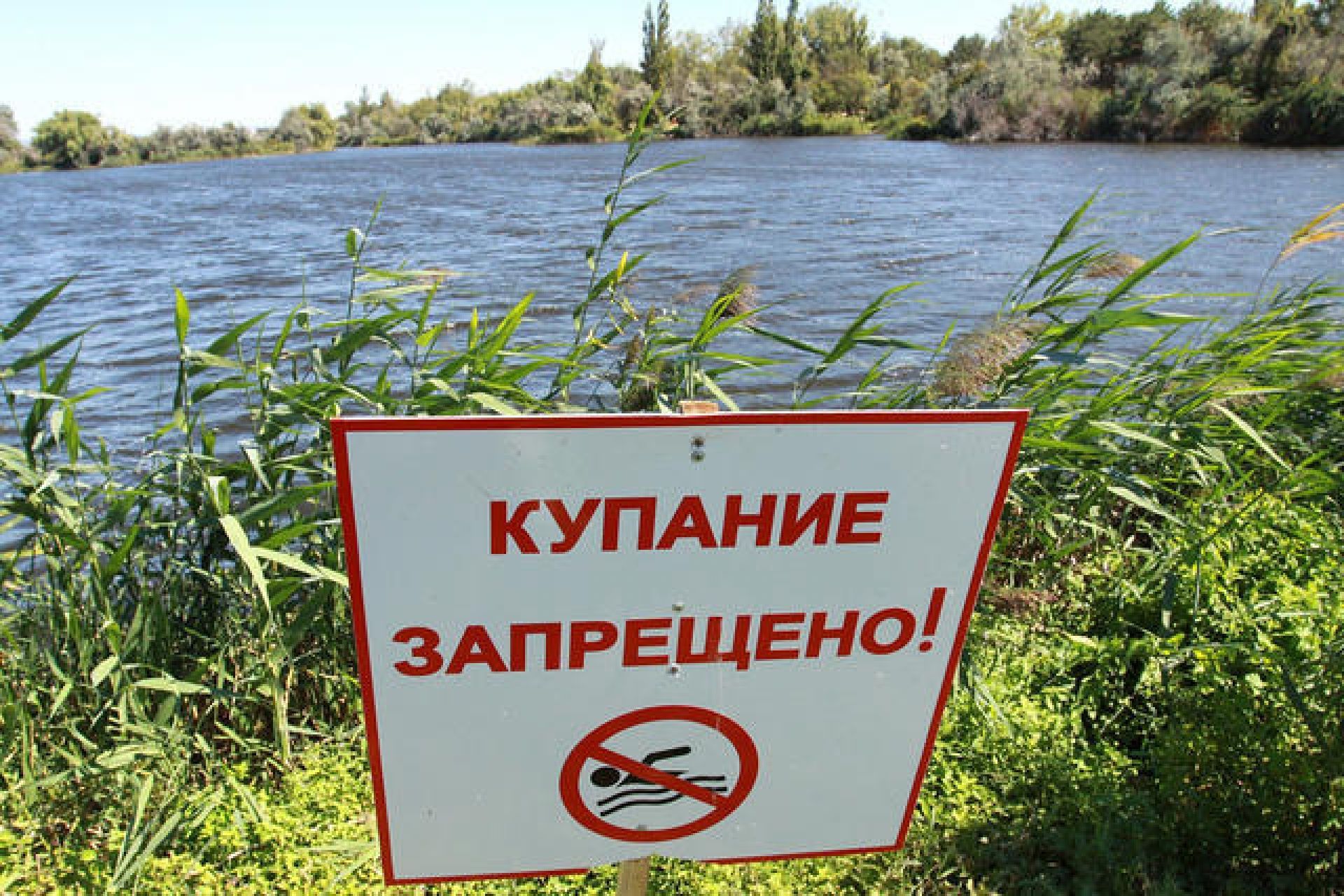 Купаться вредно. Купание запрещено. Купание запрещено табличка. Знак «купаться запрещено». Запрещено купаться в водоемах.