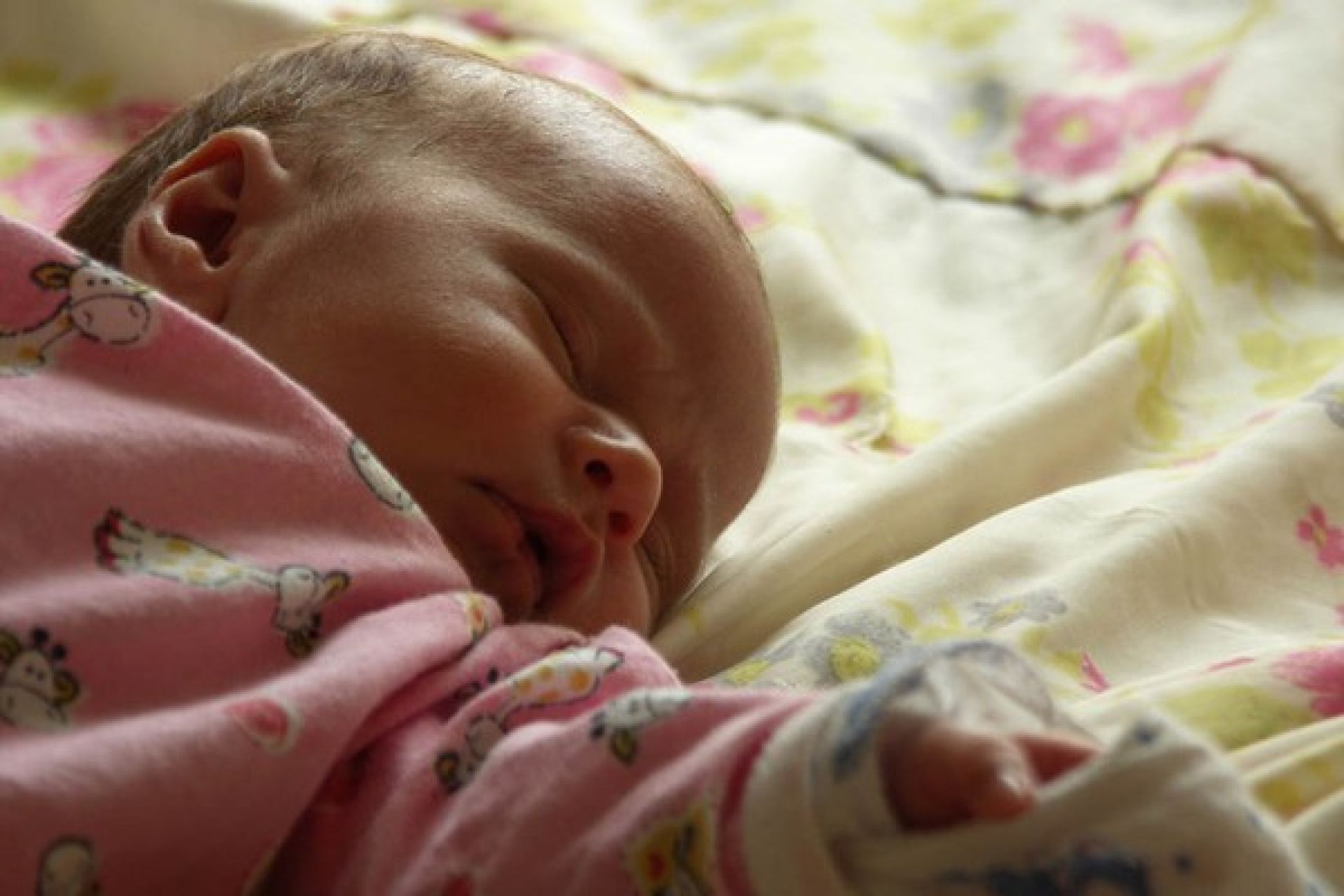 Первые месяцы после рождения. Новорожденный ребенок. Новорожденная девочка. Фото младенца. Новорождённых девочки в роддоме.