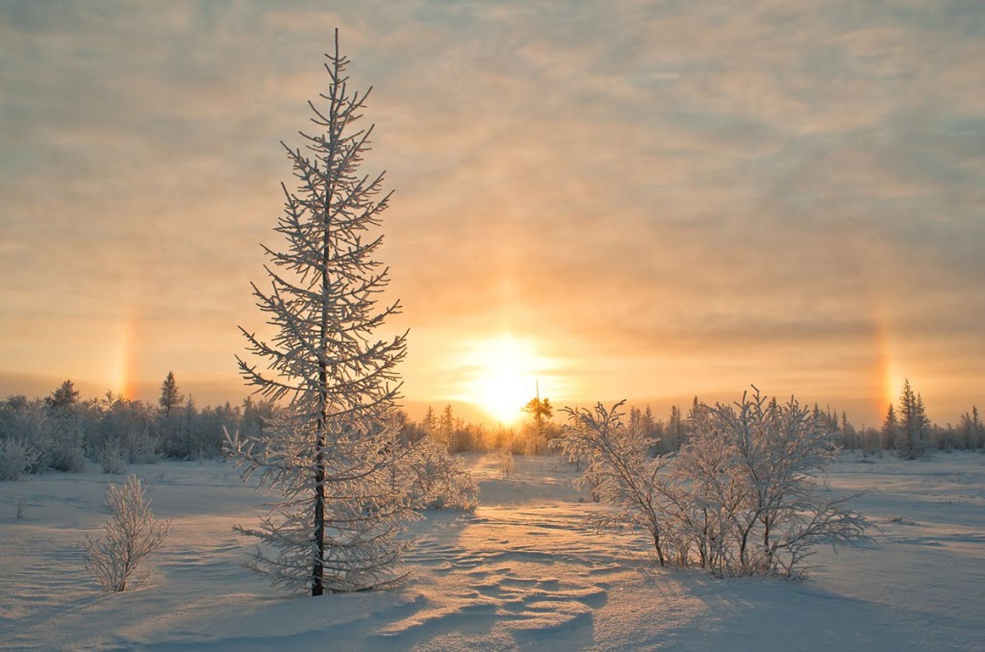 В морозные дни солнце восходит в тяжелом. Новый Уренгой тундра зима. Заполярье Уренгой. Солнце зимой. Рассвет зимой.