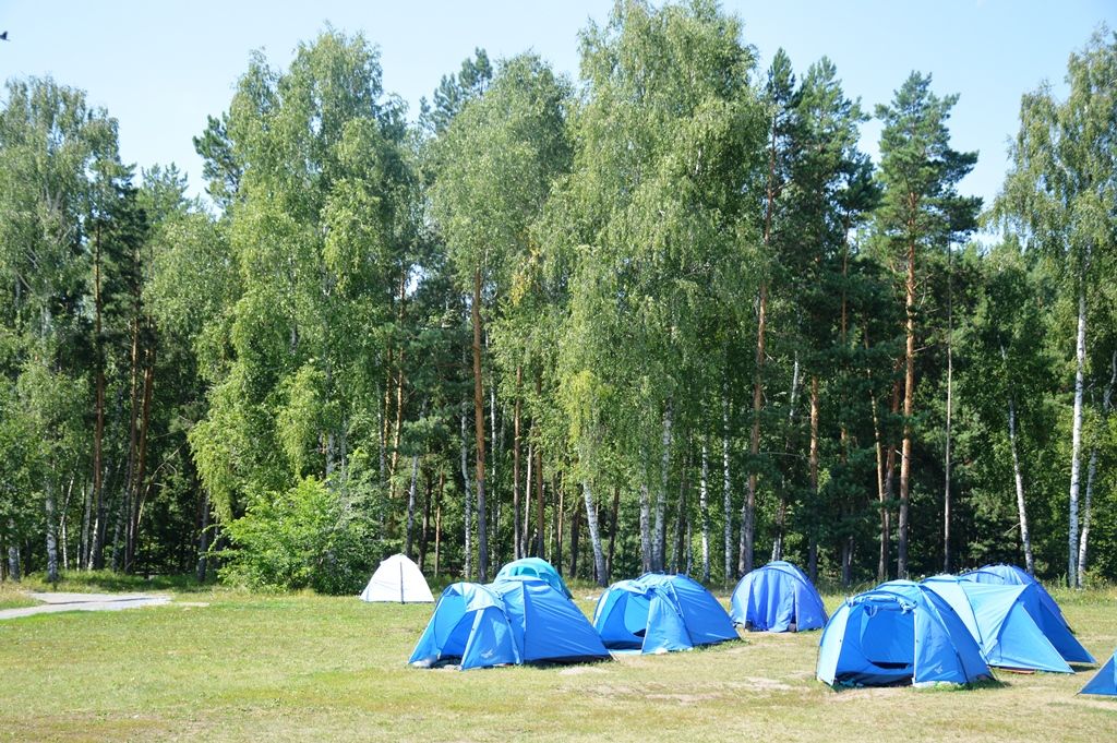 44 дол. Белкино палаточный лагерь. Палаточный лагерь Новосибирск Обское море. Палаточный лагерь Апастово. Темниковский парк палаточный лагерь.