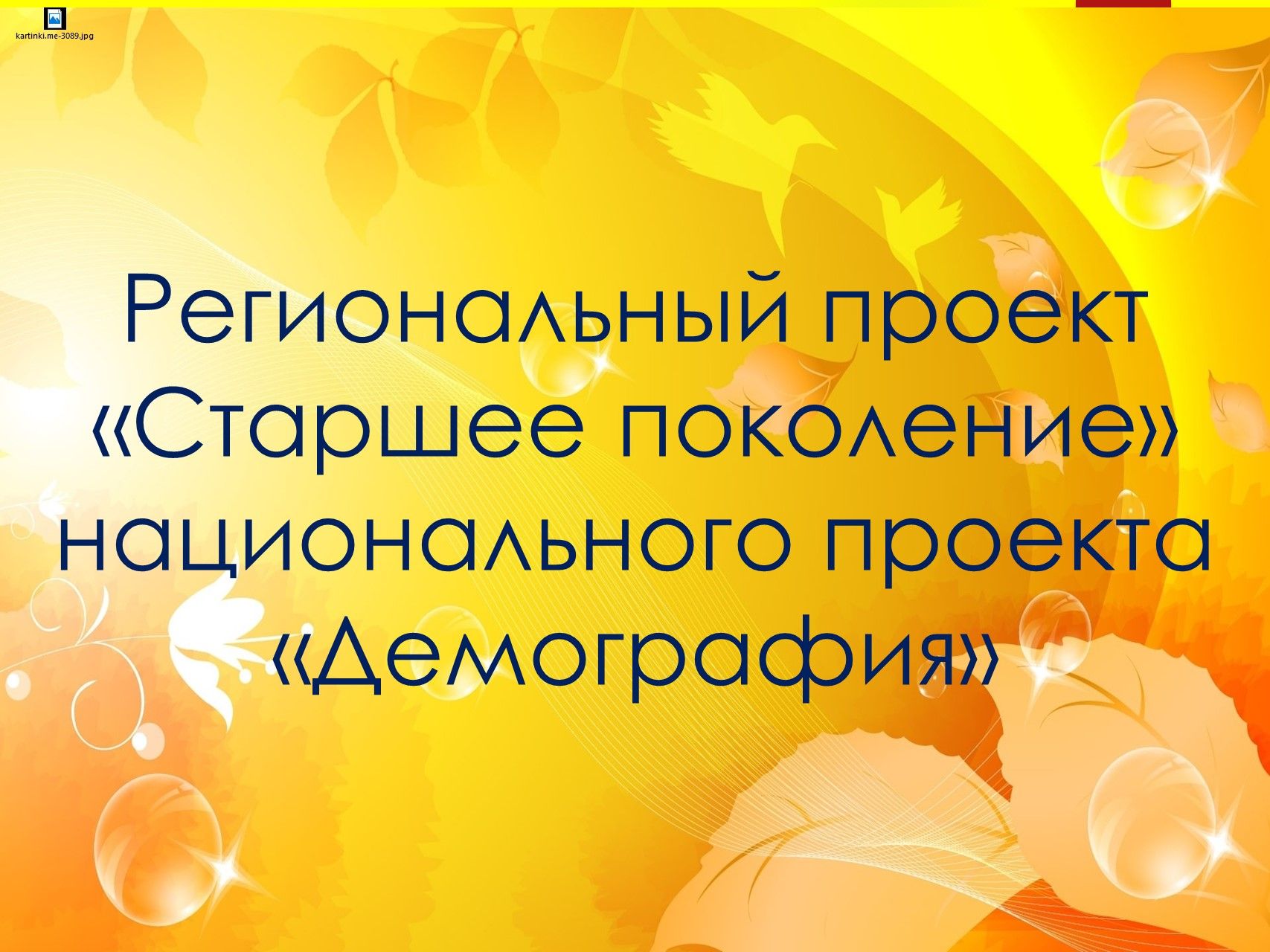 Сочинение старшее поколение. Региональный проект старшее поколение. Показатели проекта старшее поколение. Проект старшее поколение презентация. Проект 65+ старшее поколение.