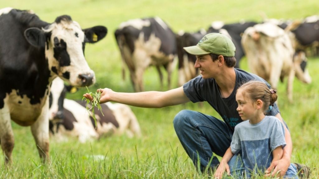 Farming family. Семейная ферма. Семейные фермы Татарстана. Немецкий фермер в Татарстане. Фермерская семья за работой фото.