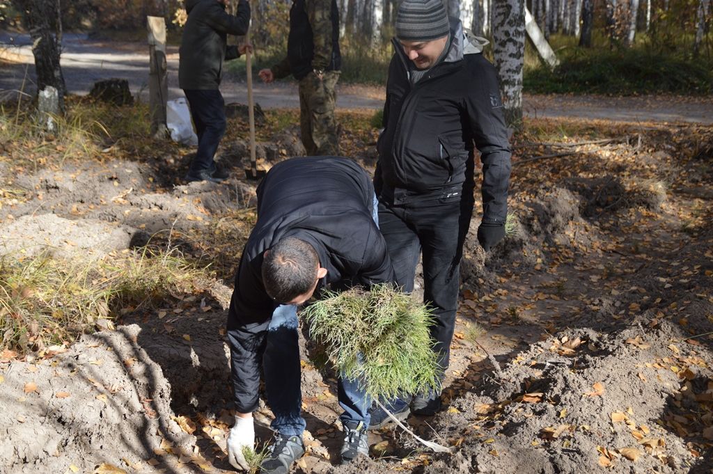 В Лаишевском районе радеют за сохранение леса