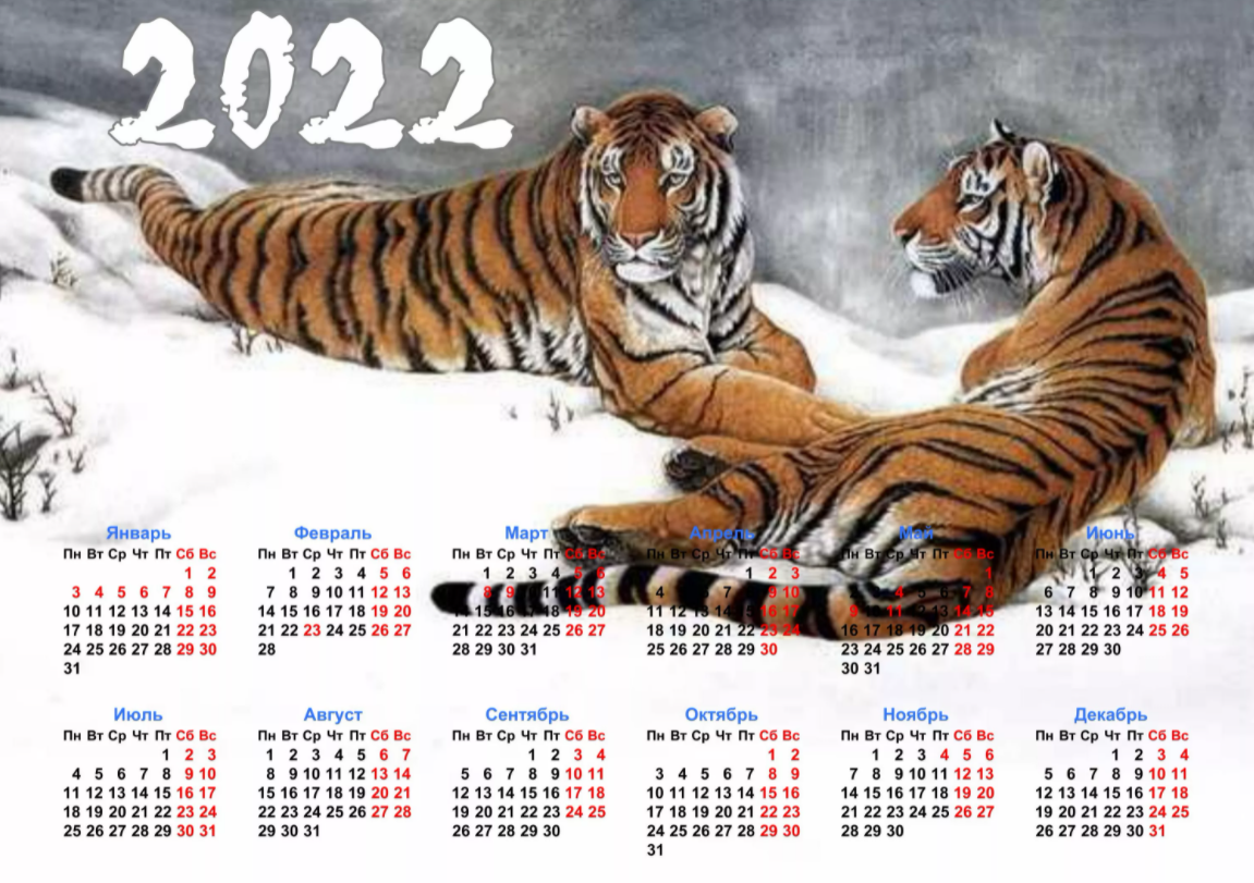 Через сколько будет 2028. 2022 Год черного водяного тигра. Календарь 2022 год. Производственный календарь на 2022 год. Календарь 2022 с тигром.