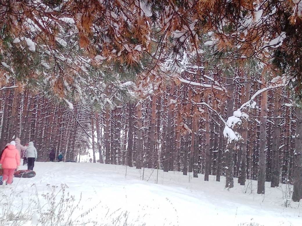 Погода на неделю лаишевском районе. Лаишево зима. Лаишево зимой. Зимняя природа в Лаишево. Фотографии зимнего Лаишево.