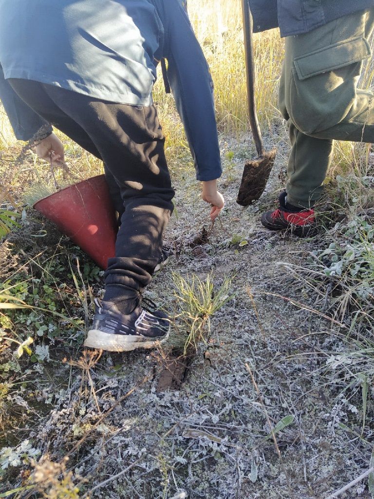 Никольские школьники участвовали в акции «Сохраним лес»