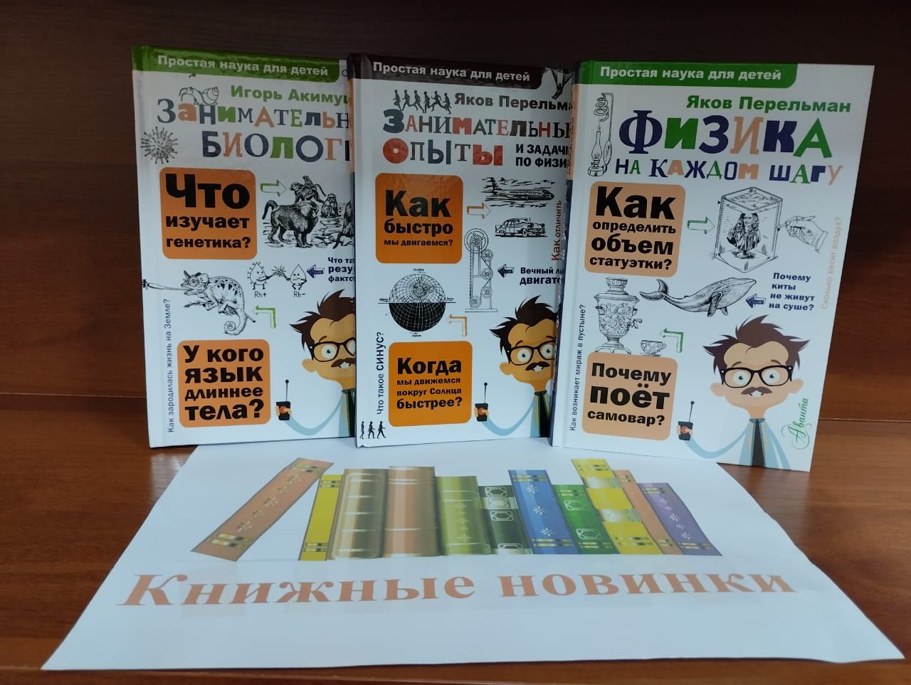 Для юных читателей района в Детскую библиотеку Лаишева поступили новые книги