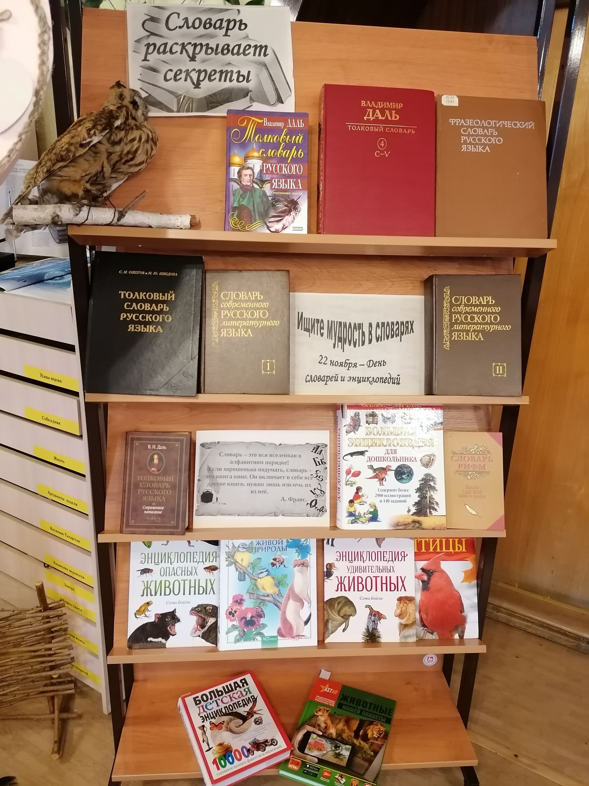 Экспресс – обзор «Словари, энциклопедии, справочники» организован в Лаишевской библиотеке
