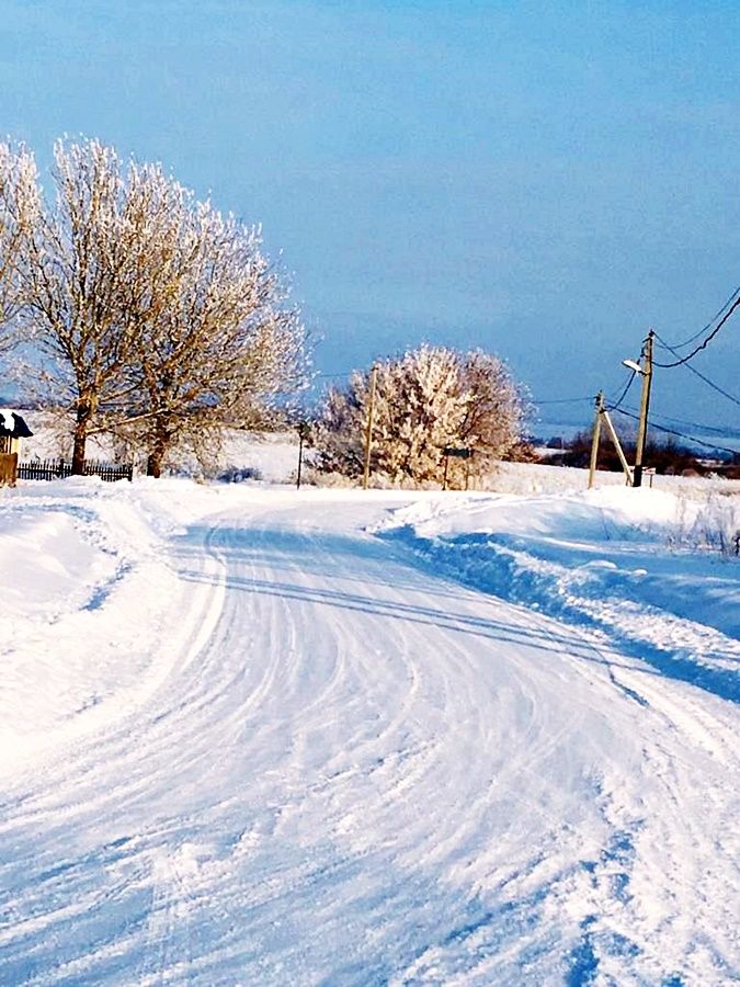 В небольшой морозец встань на лыжи