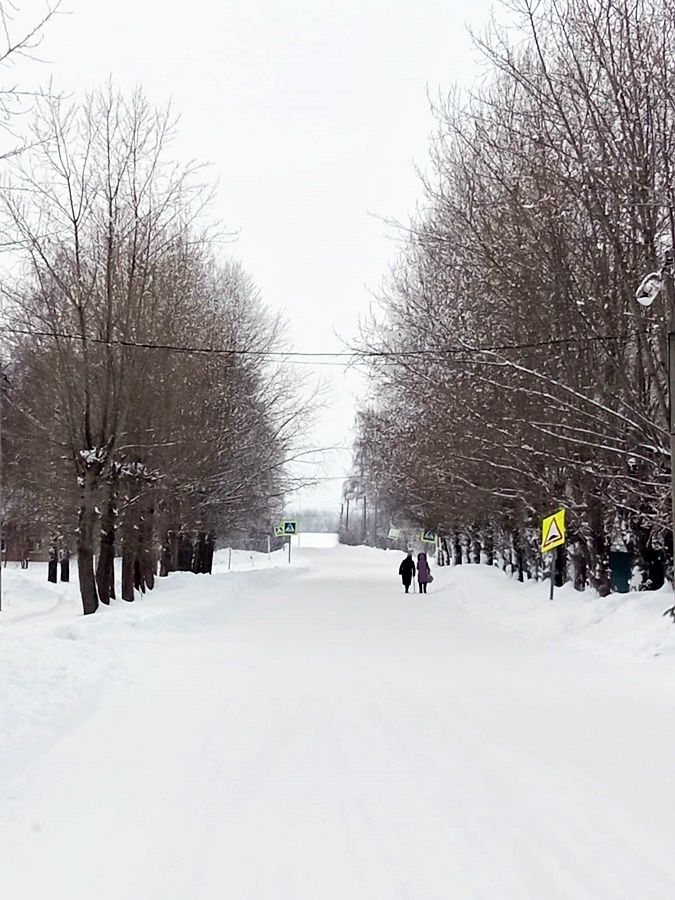 Фото читателя. Хорошо зимой пройтись на лыжах, прогуляться по зимнему лесу