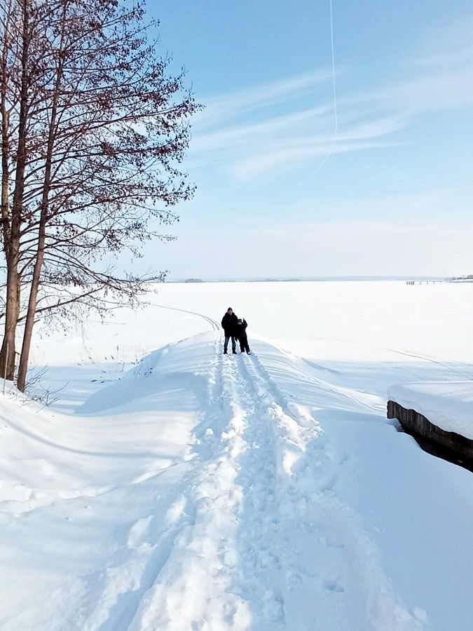 Фото читателя. Хорошо зимой пройтись на лыжах, прогуляться по зимнему лесу