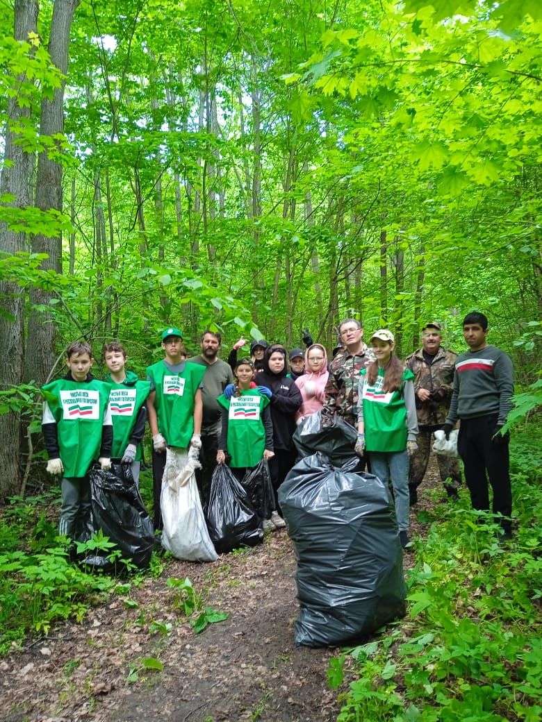 Лаишевское лесничество участвует в акции "Чистые леса Татарстана"